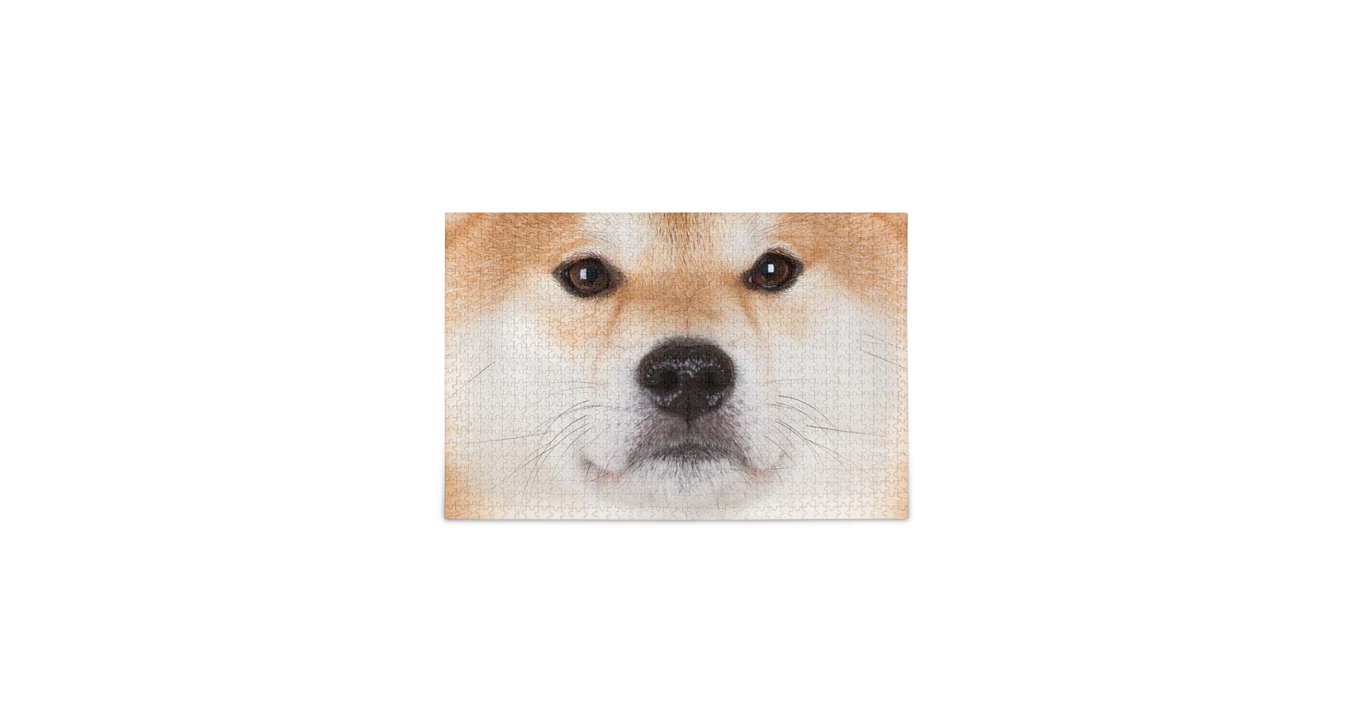71-B4t+tedL.jpg_BO30,255,255,